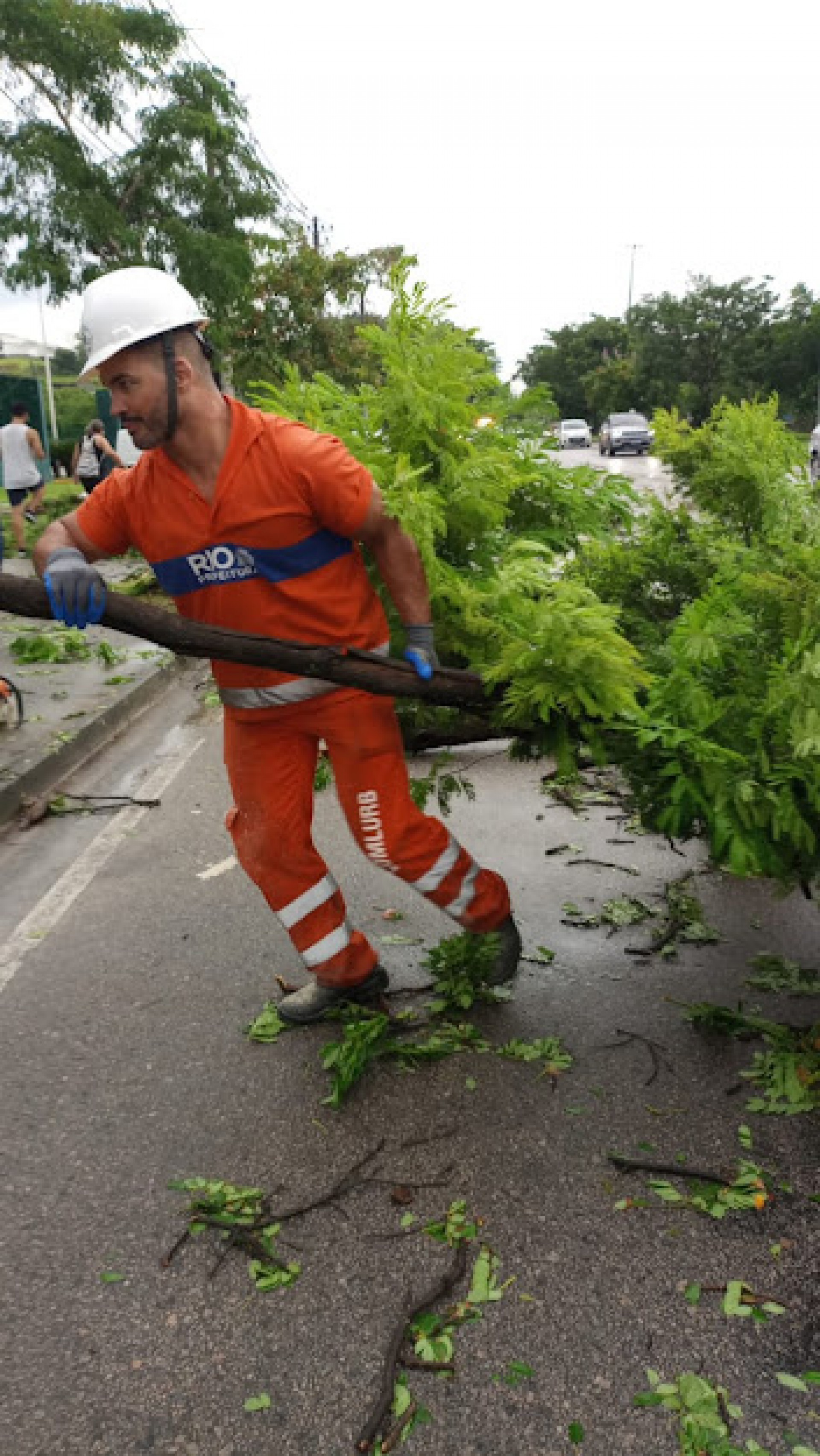 Comlurb registrou 58 quedas de &aacute;rvore entre a tarde de segunda-feira e o fim da manh&atilde; de ter&ccedil;a-feira