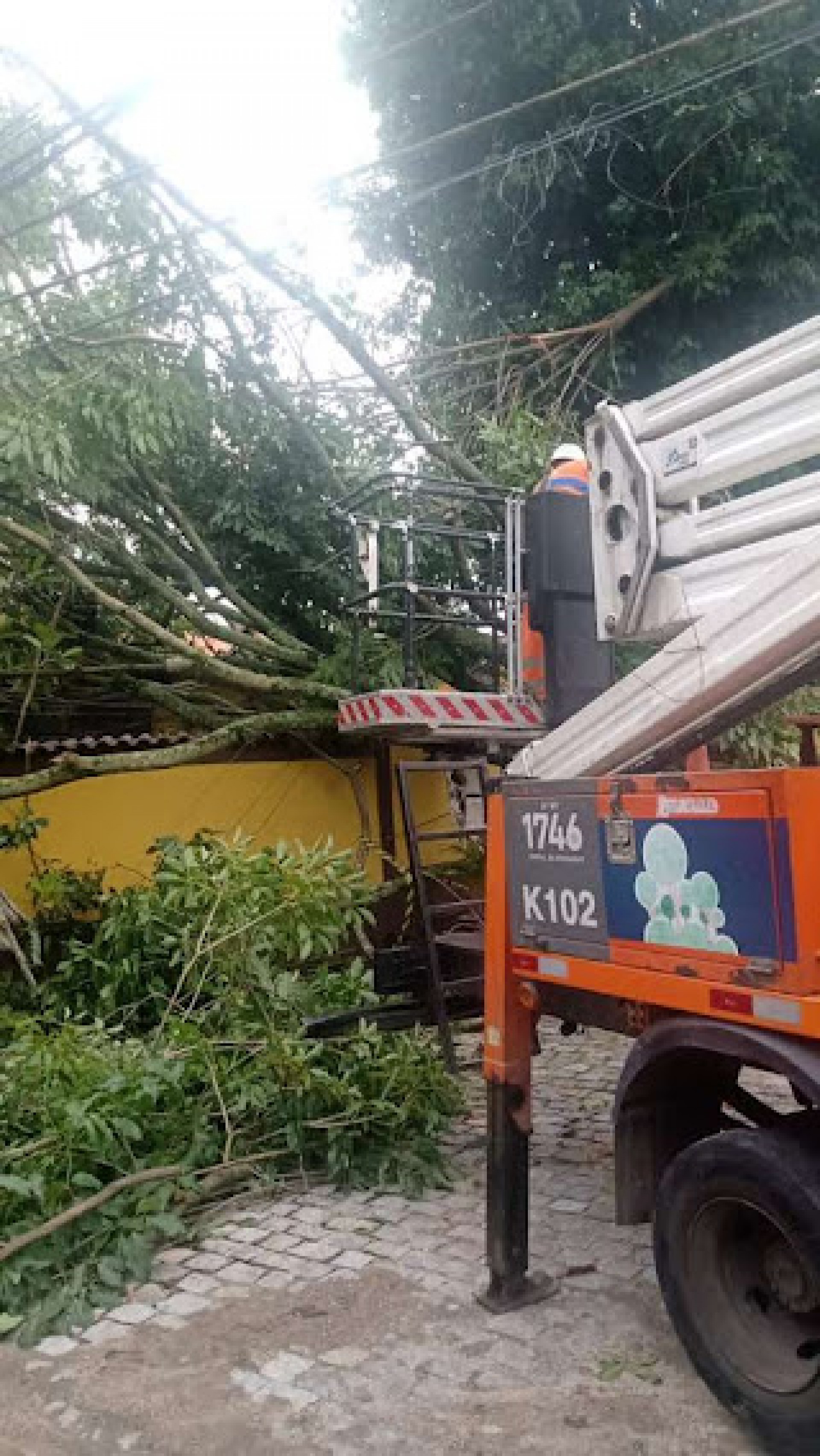 Em dez ocorr&ecirc;ncias, &aacute;rvores ficaram em conflito com a rede el&eacute;trica 