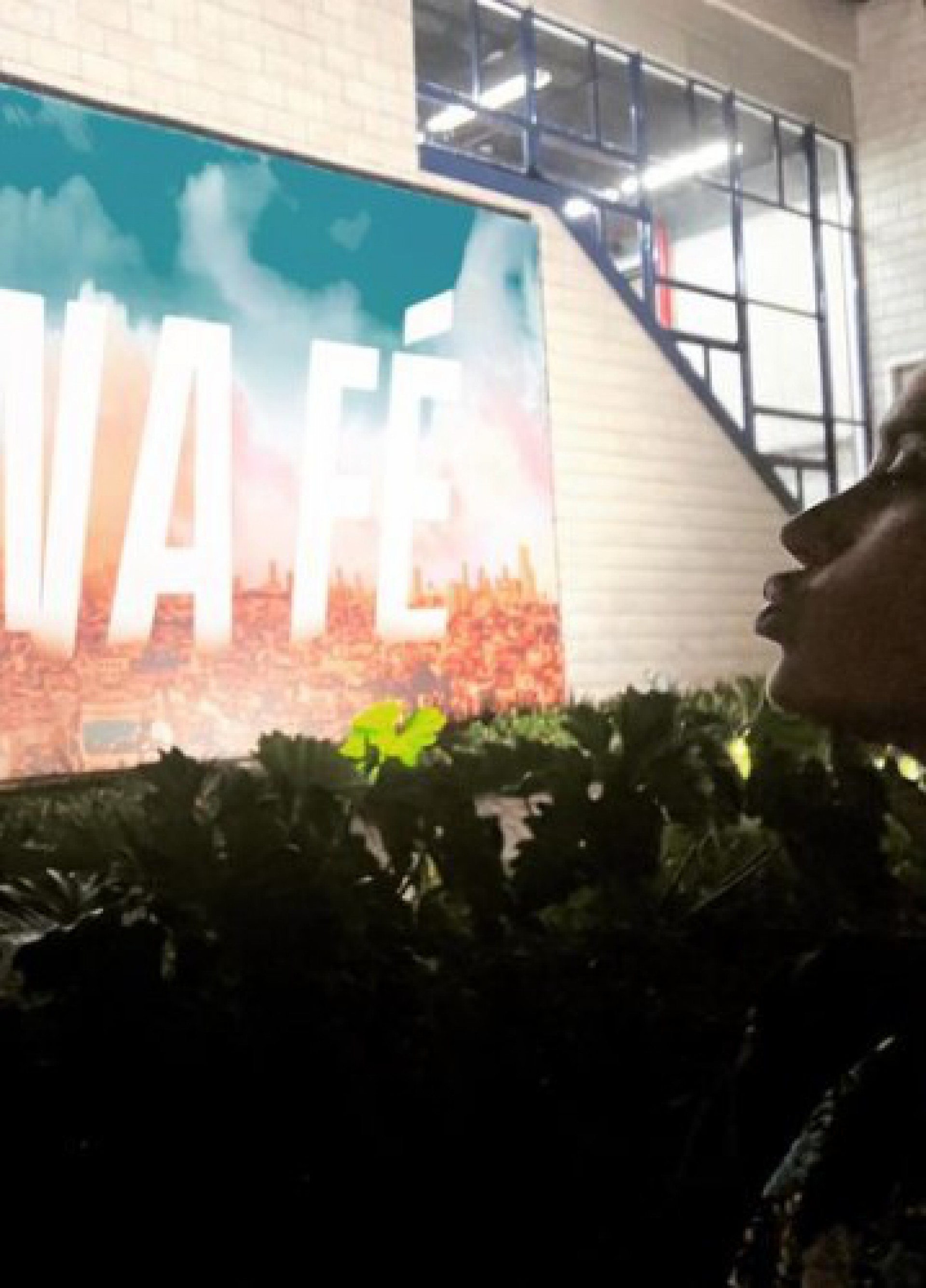 Carolina Dieckmann compartilha cliques da rotina - Reprodução Internet