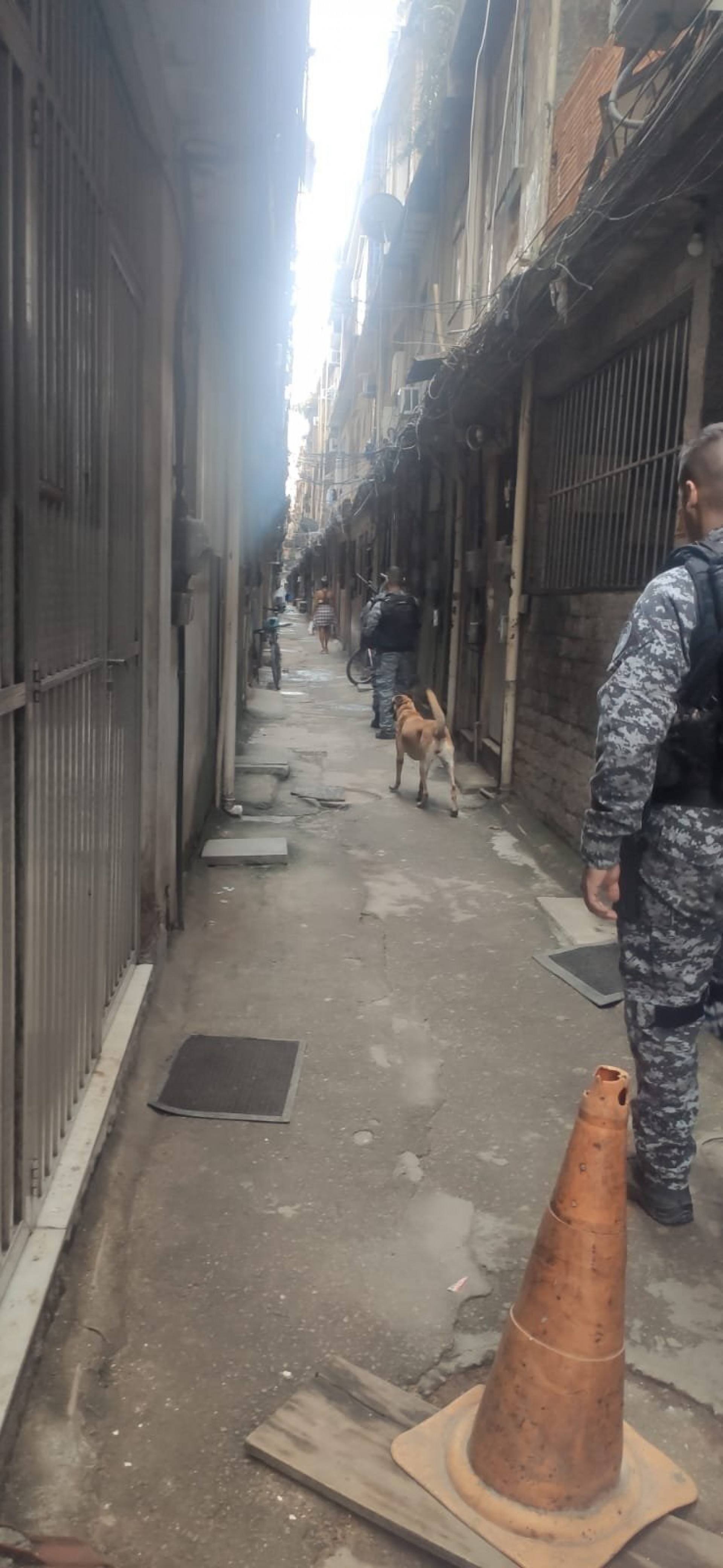 Agentes do Batalhão de Ações com Cães (BAC) realizam buscas na comunidade da Gardênia Azul - Divulgação / PMERJ