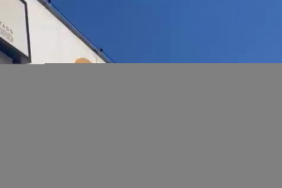 Tutor que abandonou animal em Pedra de Guaratiba presta depoimento na DPMA