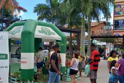 Maricá+Verde distribui 100 mudas nativas da Mata Atlântica em Itaipuaçu