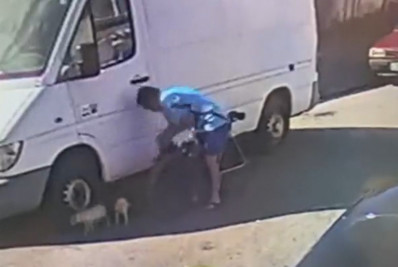 Câmera de segurança flagra homem abandonando filhotes de cachorro em Curicica