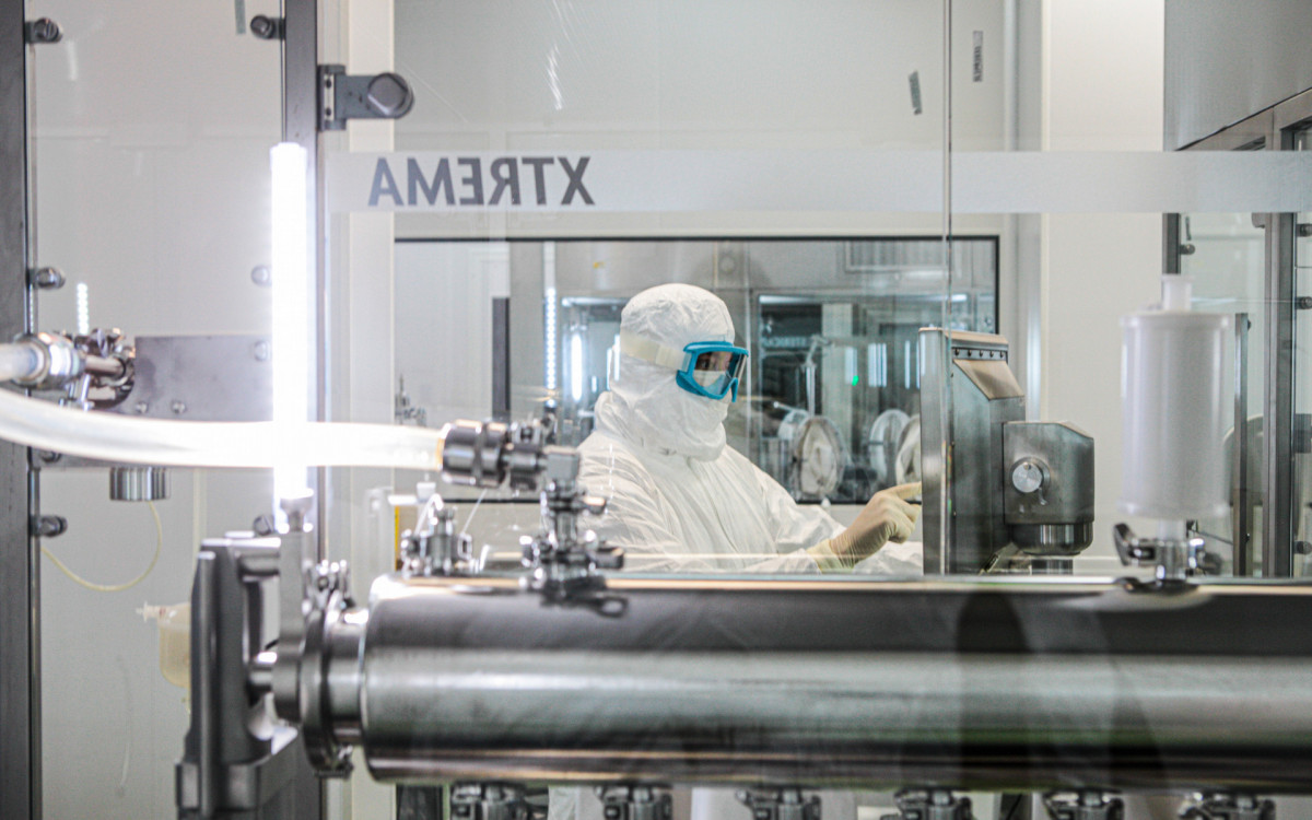 Produ&ccedil;&atilde;o das vacinas contra a dengue e chikungunya no Instituto Butantan