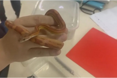 Polícia prende em flagrante homem por tráfico internacional de animais silvestres no Jacaré