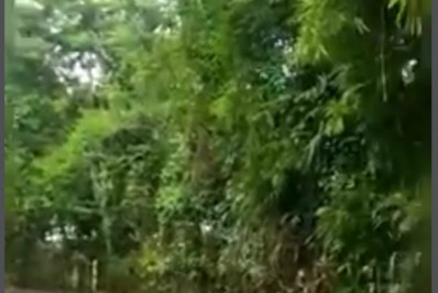  Obras alteram itinerário de ônibus na Estrada do Contorno