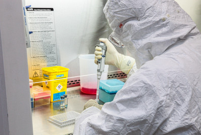 Última fase de testes das vacinas contra dengue e chikungunya mostra resultados promissores