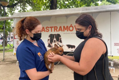 Prefeitura abre vagas para castração gratuita de cães e gatos