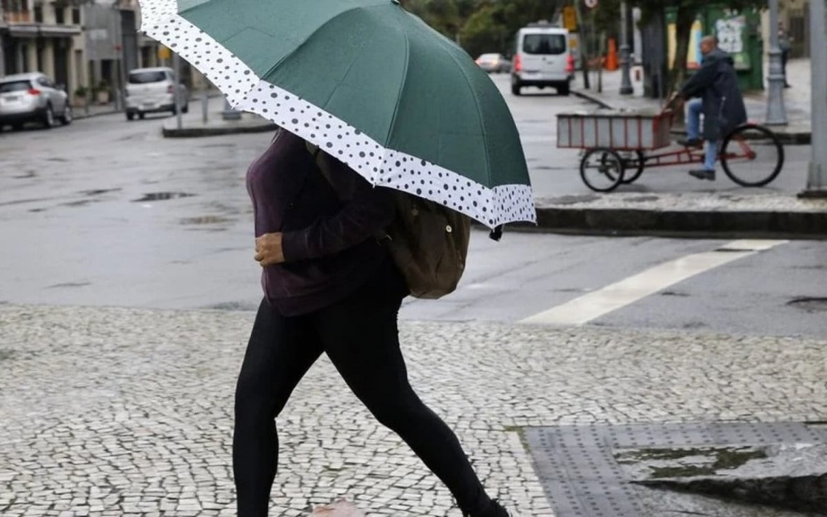 Chuvas castigaram a Região Metropolitana de São Paulo  - Fernando Frazão/Agência Brasil