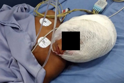 Criança de 5 anos é atacada por pitbull em São Pedro da Aldeia