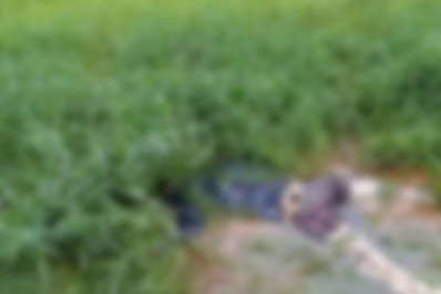 Corpo em avançado estado de decomposição é encontrado em Cabo Frio