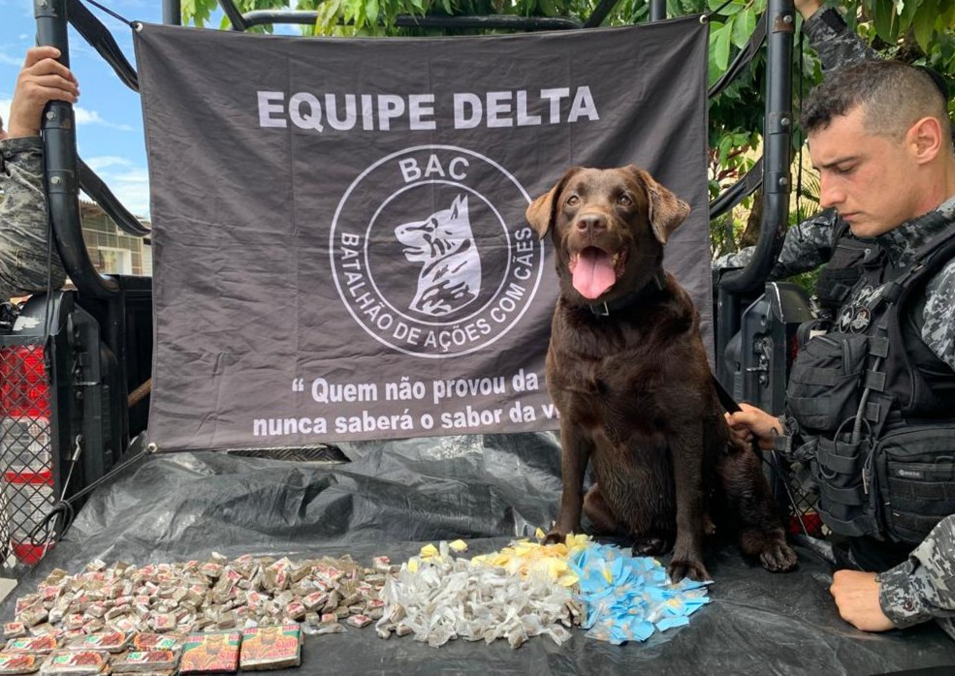 Polícia Militar apreendeu drogas na Cidade de Deus - Divulgação/Polícia Militar