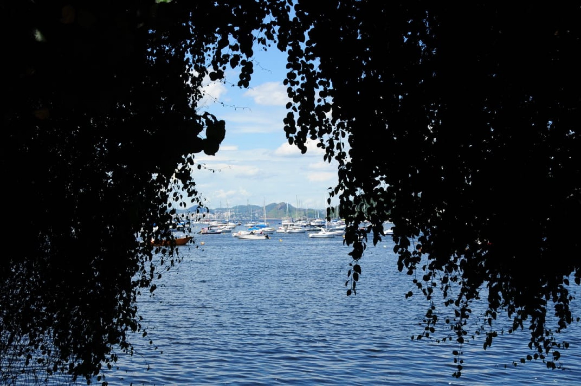 Cariocas aproveitaram manhã de céu aberto para passear na Praia de Botafogo, na Zona Sul, com a vista para o Morro do Pão de Açúcar - Estefan Radovicz / Agência O Dia
