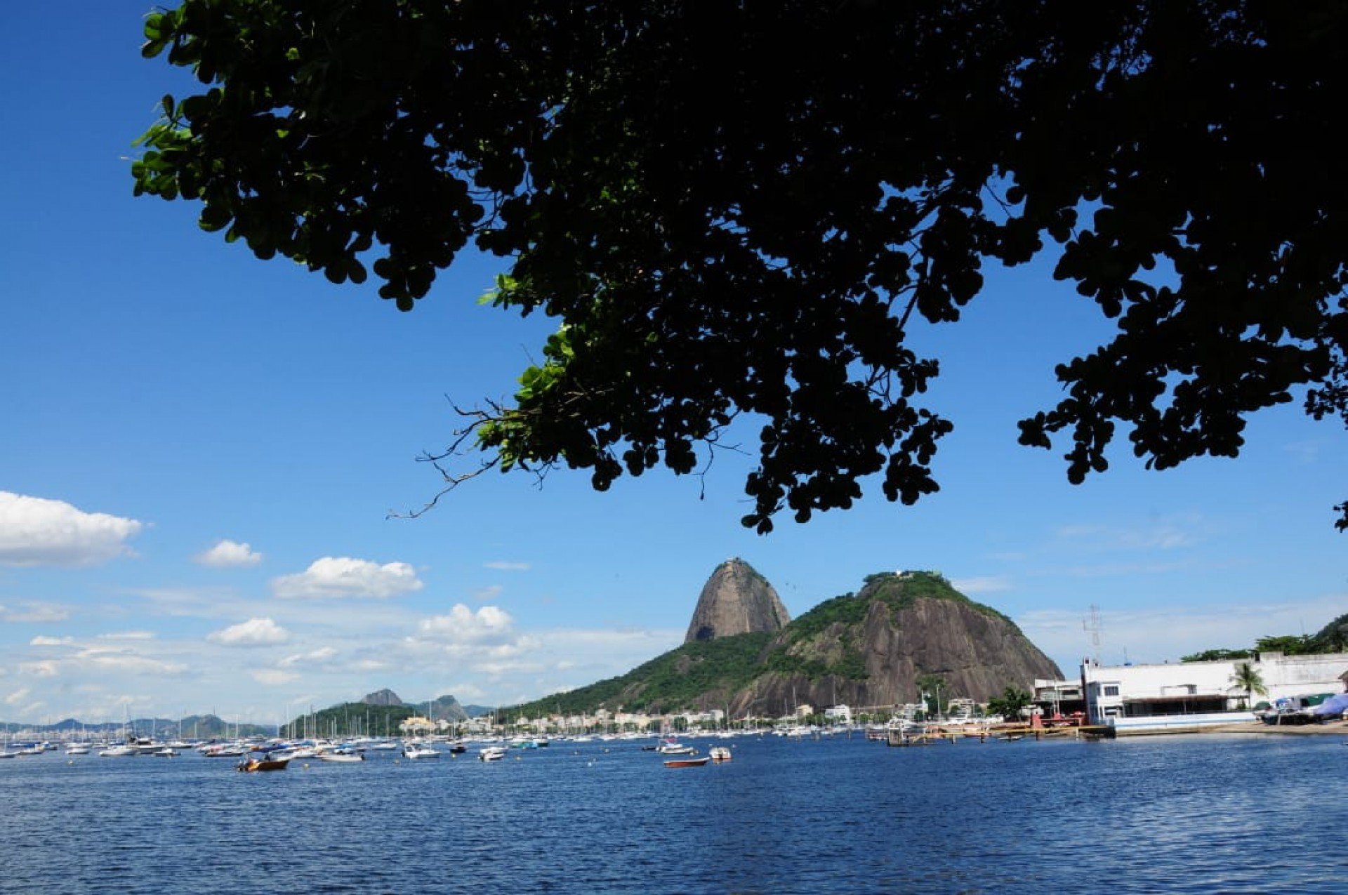 Cariocas aproveitaram manhã de céu aberto para passear na Praia de Botafogo, na Zona Sul, com a vista para o Morro do Pão de Açúcar - Estefan Radovicz / Agência O Dia