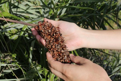 Prefeitura vai certificar empresas que reduzirem emissões de carbono