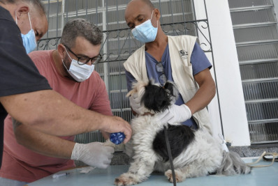 Barra Mansa realiza coleta para detecção e controle da leishmaniose
