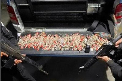 PM apreende 350 trouxinhas de maconha em Nilópolis