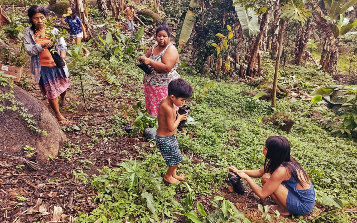 Povo da Terra Ind&iacute;gena Tekoha Jevy, na Costa do Sol, sobrevive da venda de artesanato e da agricultura de subsist&ecirc;ncia