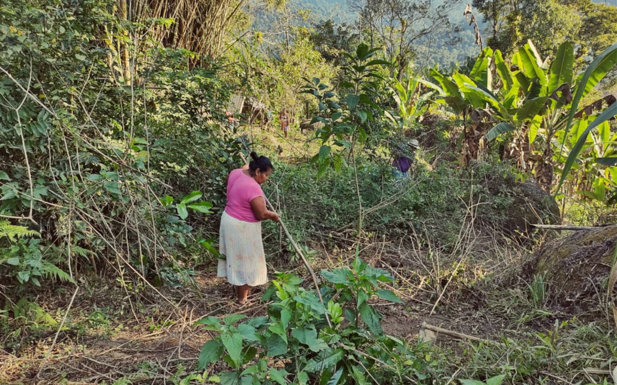 Aldeia Rio Pequeno. Ind&iacute;genas sobrevivem da venda de artesanato e da agricultura de subsist&ecirc;ncia