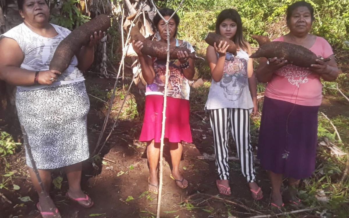 Aldeia Rio Pequeno. Ind&iacute;genas sobrevivem da venda de artesanato e da agricultura de subsist&ecirc;ncia
