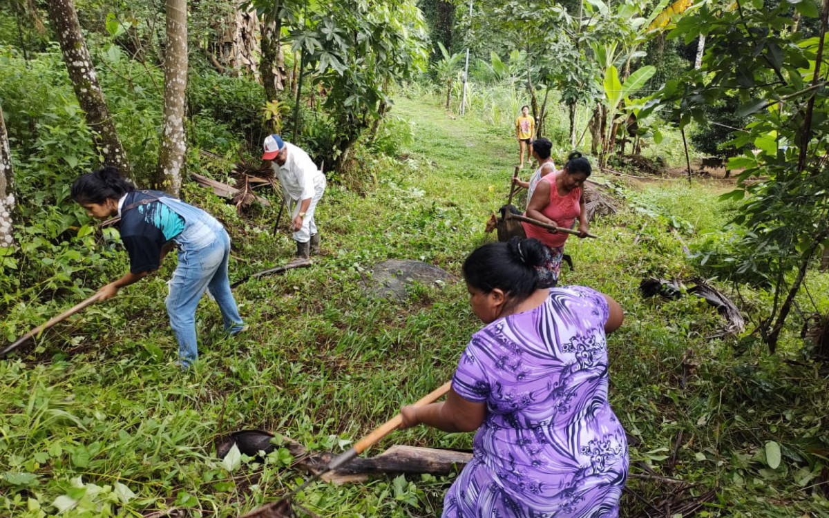 Aldeia Rio Pequeno. Ind&iacute;genas sobrevivem da venda de artesanato e da agricultura de subsist&ecirc;ncia