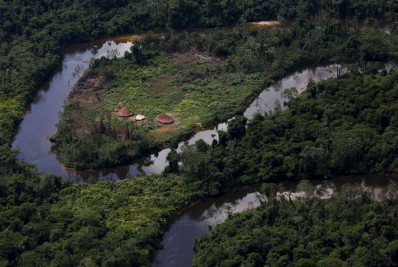 Brasil já perdeu 33% das áreas naturais de seu território