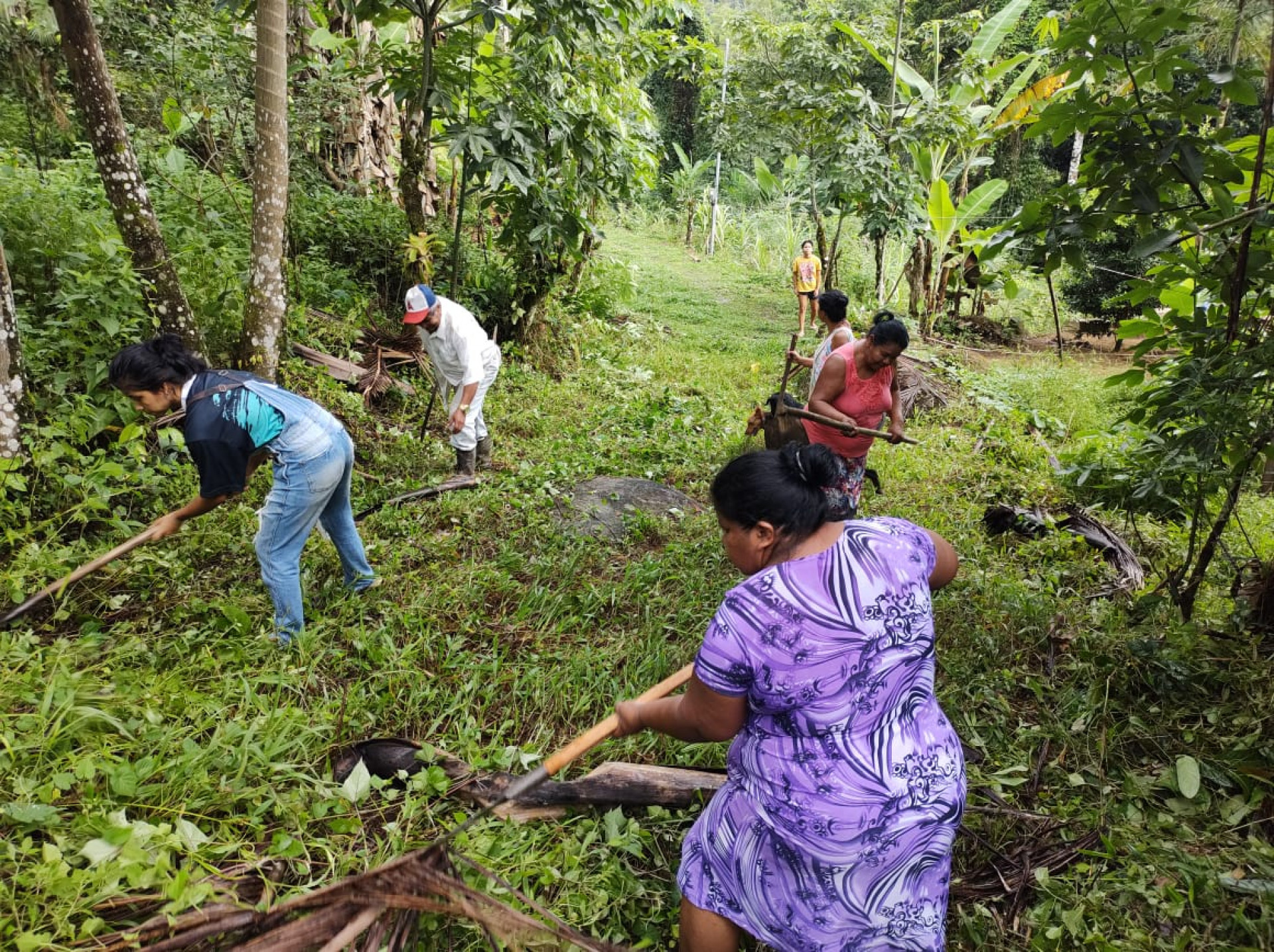 Aldeia Rio Pequeno. Ind&iacute;genas sobrevivem da venda de artesanato e da agricultura de subsist&ecirc;ncia - Divulga&ccedil;&atilde;o
