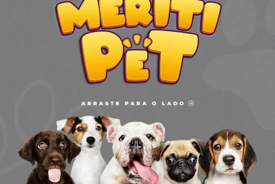 Meriti pet: Praça do Parque Araruama recebe evento de cuidado aos animais neste sábado (4)
