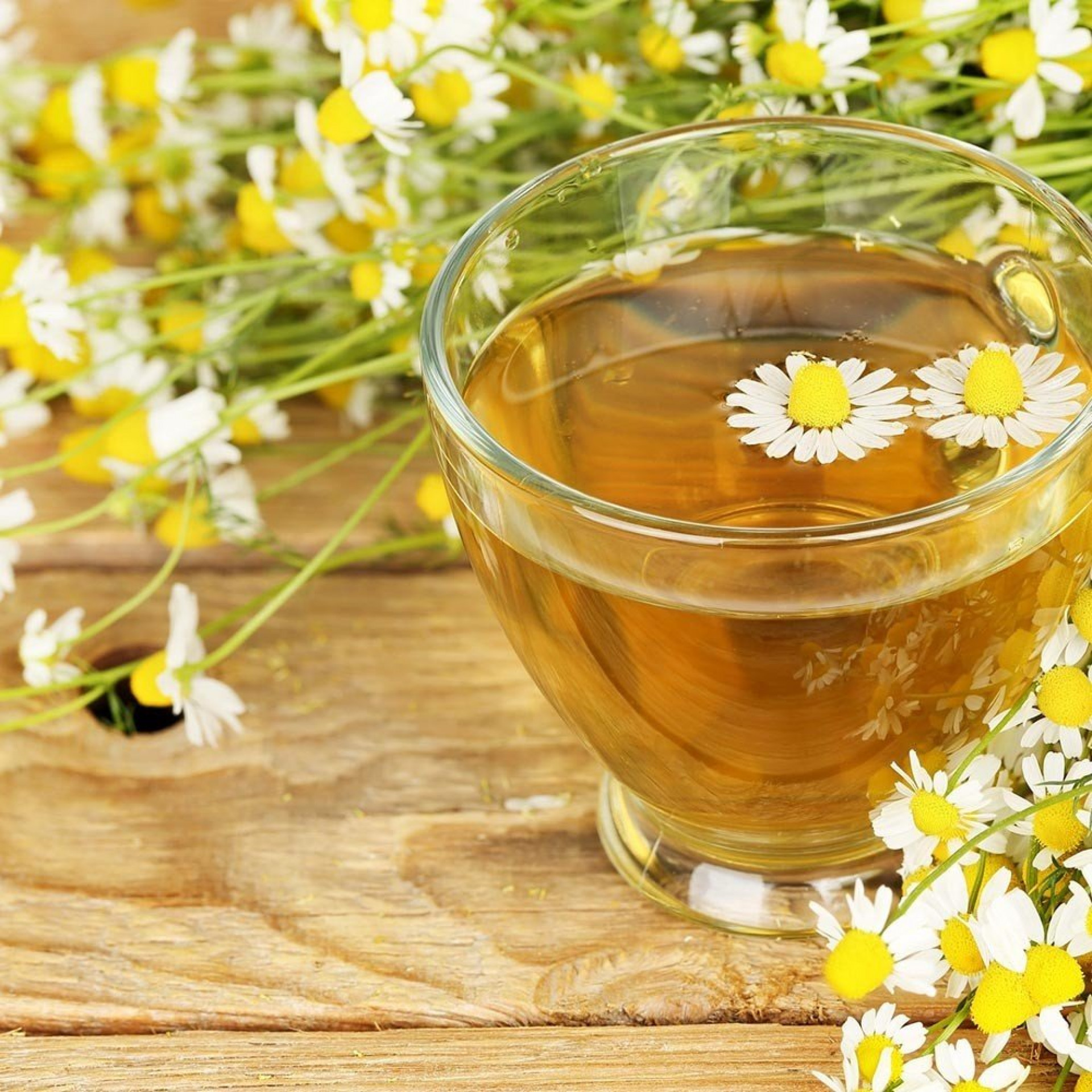 Ch&aacute; de camomila para a pele