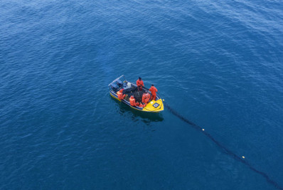 Adolescente morre após ser atacada por tubarão