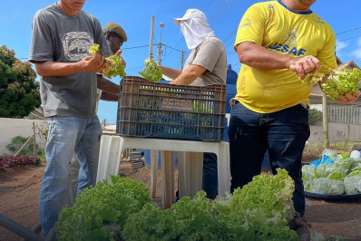 Assistência Social cumpre demandas garantindo ajuda às famílias em situações vulneráveis