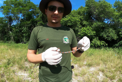 Guarda Ambiental de Saquarema resgata cobra-coral na Praça do Coração