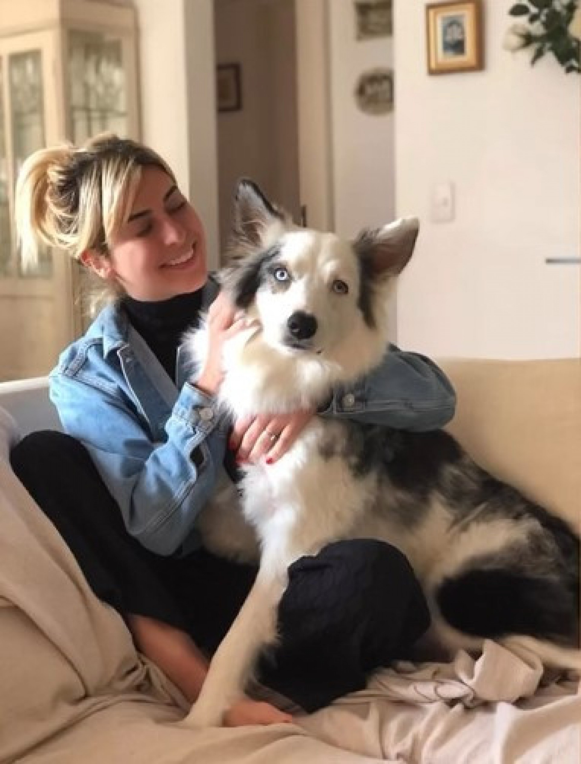 Fernanda Paes Leme lamenta a morte do cachorro, Google - Reprodução/Instagram