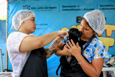 Meriti vacina cães e gatos contra raiva nesta quarta