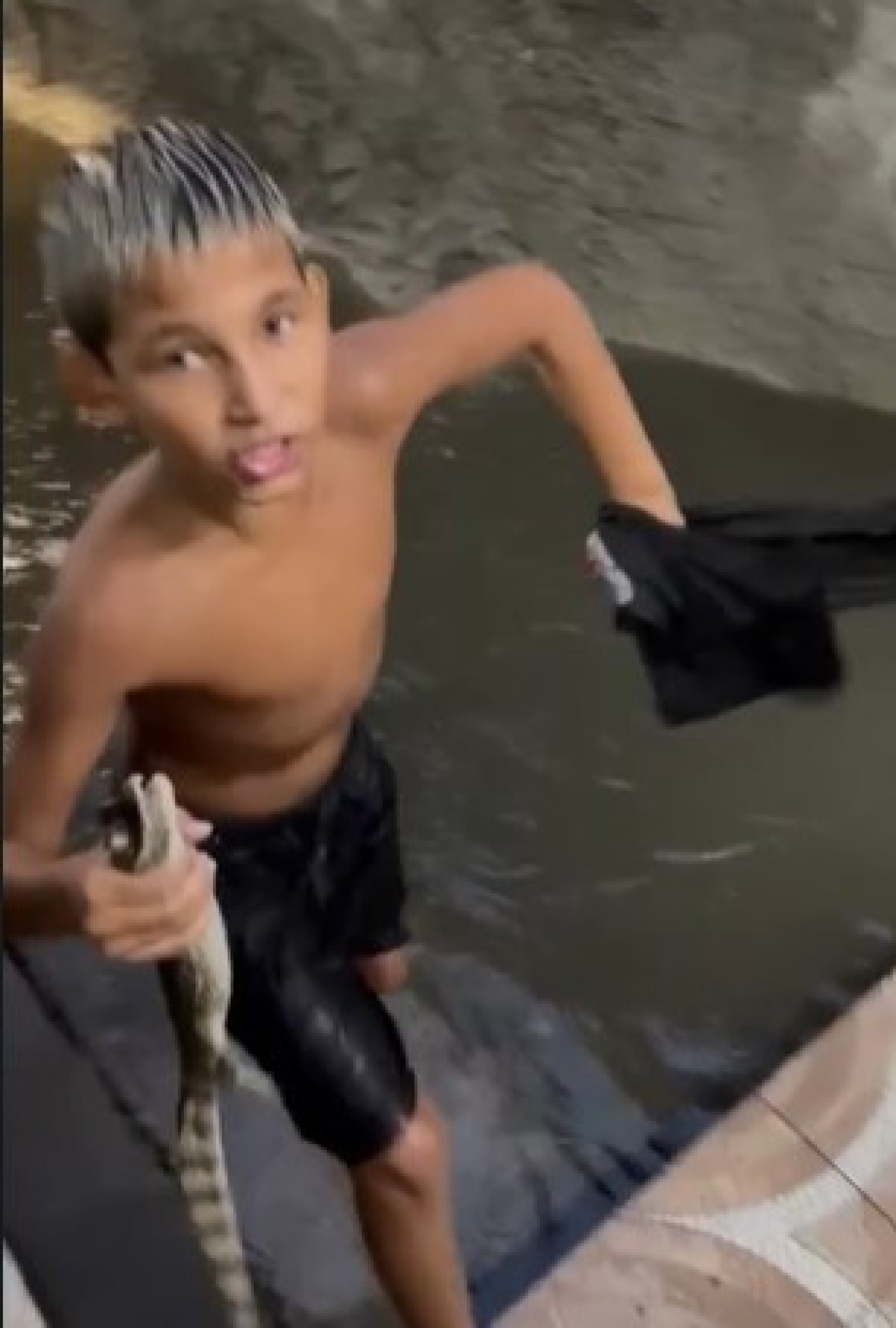 Na comunidade da Nova Holanda, um menino encontrou um filhote de jacaré nadando no córrego que transbordou - Reprodução