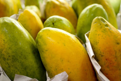 Grupo Alimentos e Bebidas sobe 0,59% e gera o maior impacto no IPCA de janeiro