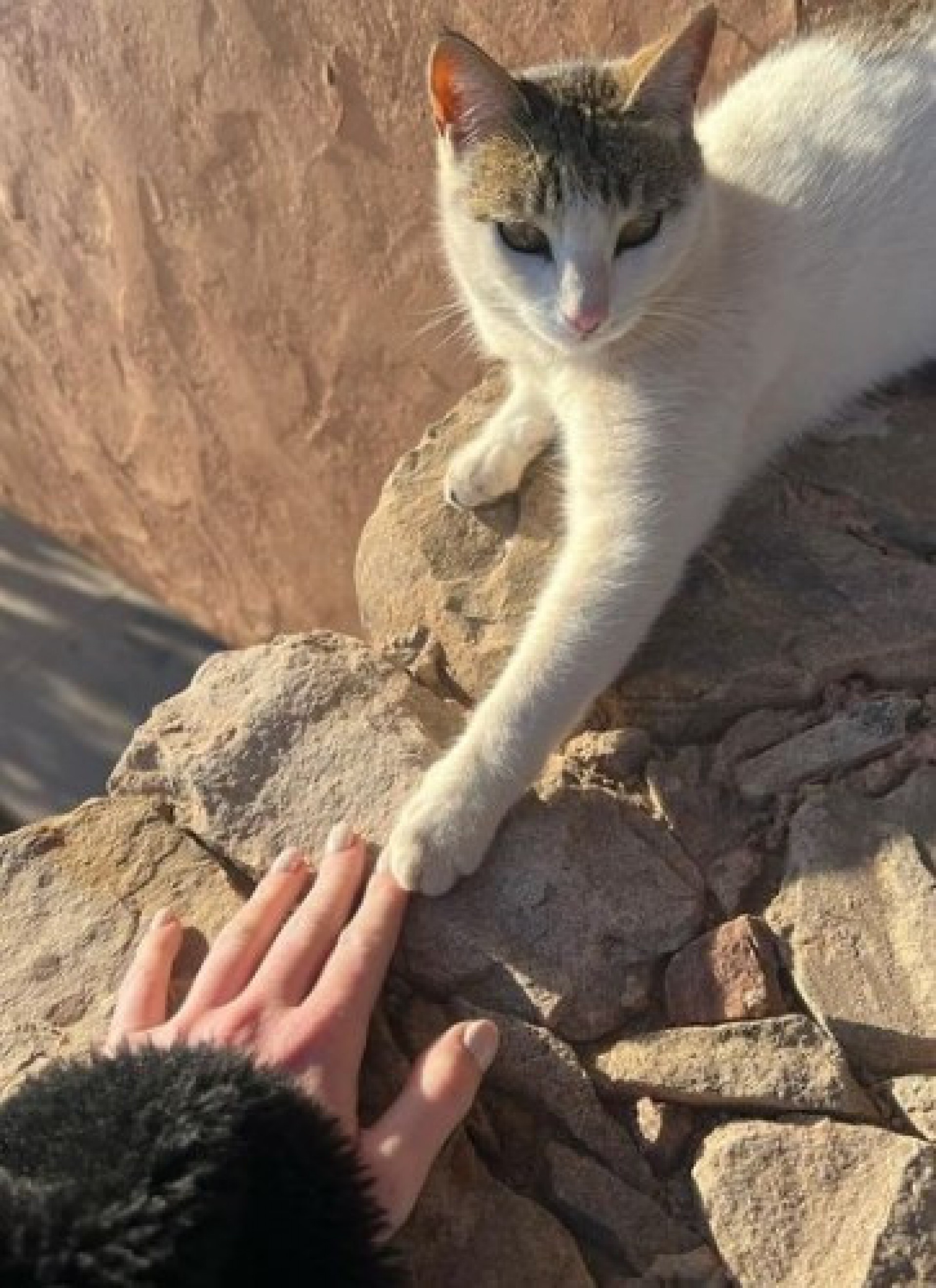 Marina Ruy Barbosa compartilha detalhes da sua viagem por Marrocos - Reprodução Internet