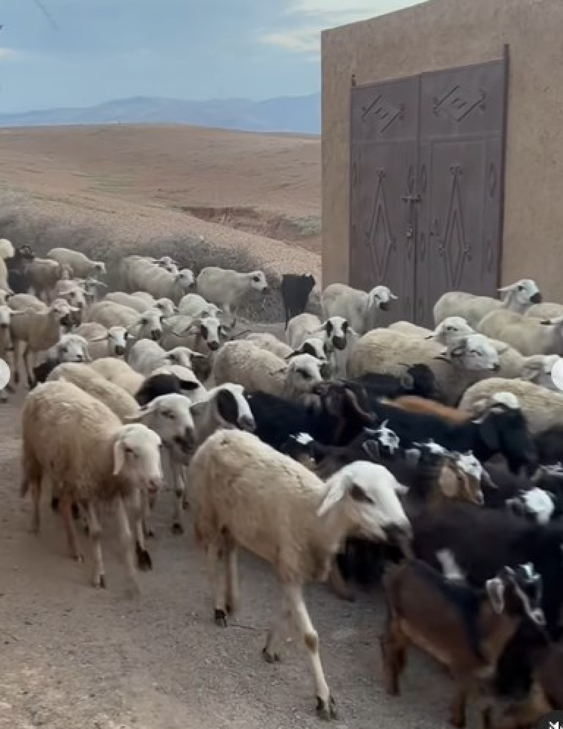 Marina Ruy Barbosa compartilha detalhes da sua viagem por Marrocos - Reprodução Internet