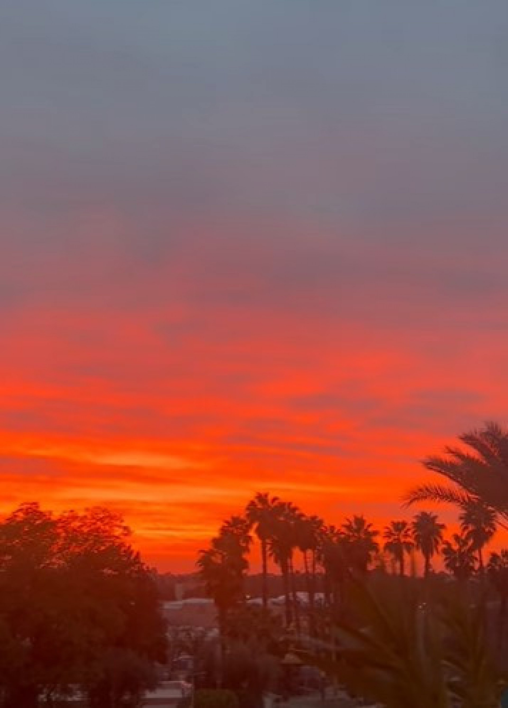 Marina Ruy Barbosa compartilha detalhes da sua viagem por Marrocos - Reprodução Internet