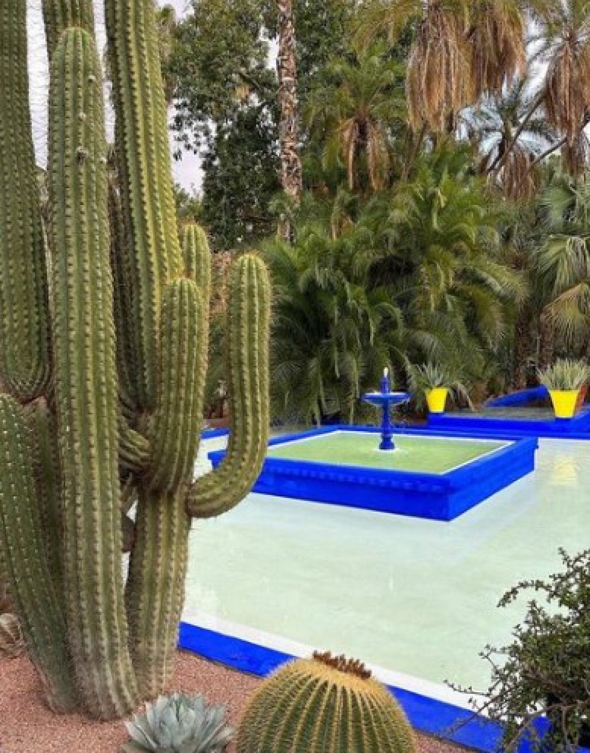 Marina Ruy Barbosa compartilha detalhes da sua viagem por Marrocos - Reprodução Internet