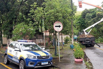 Guarda Comunitária retira 85 veículos abandonados das ruas