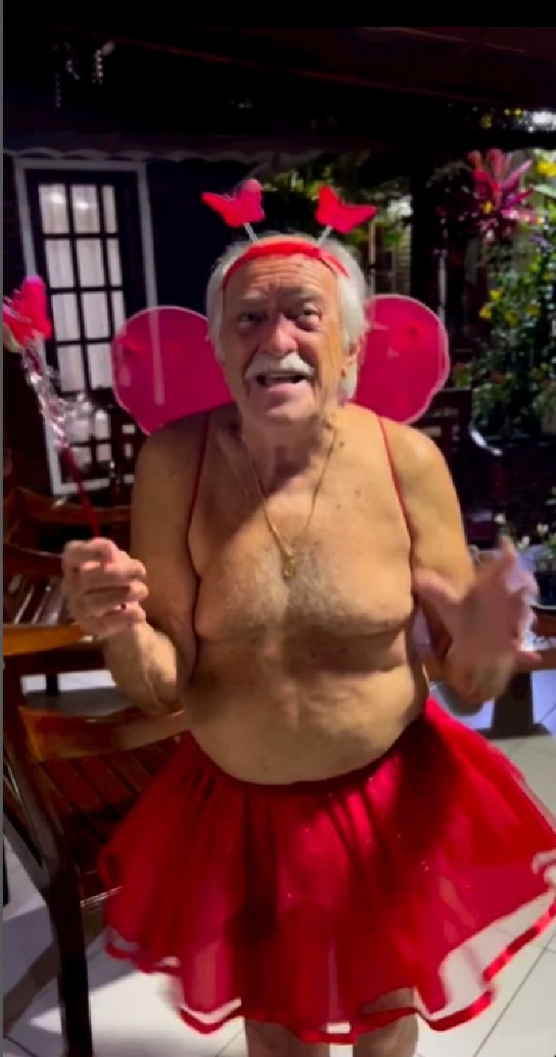 Ary Fontoura se fantasia de borboleta - Reprodução do Instagram