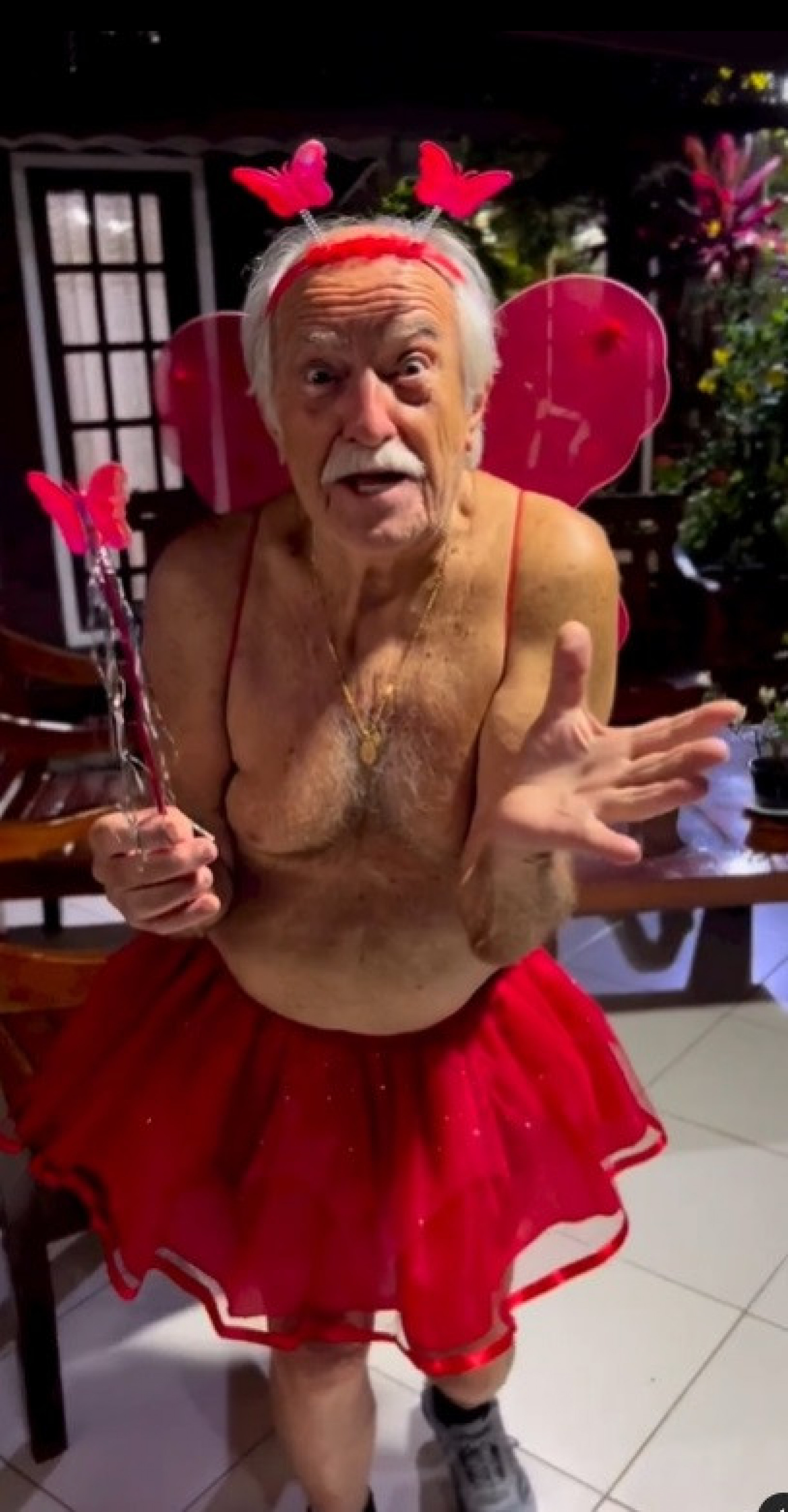 Ary Fontoura se fantasia de borboleta - Reprodução do Instagram