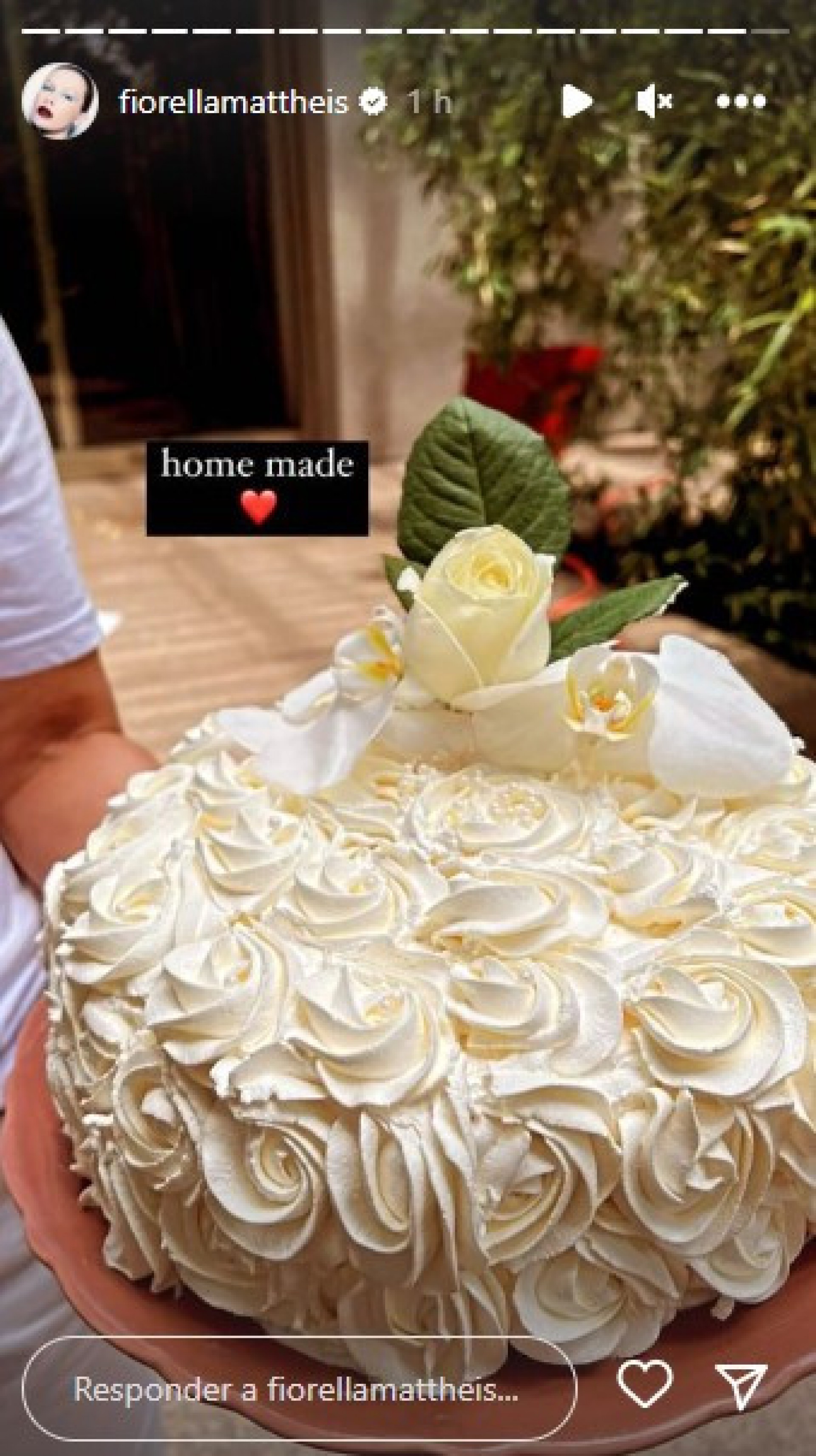 Fiorella Mattheis comemora 35 anos dando banho em sua cachorra - Reprodução Internet