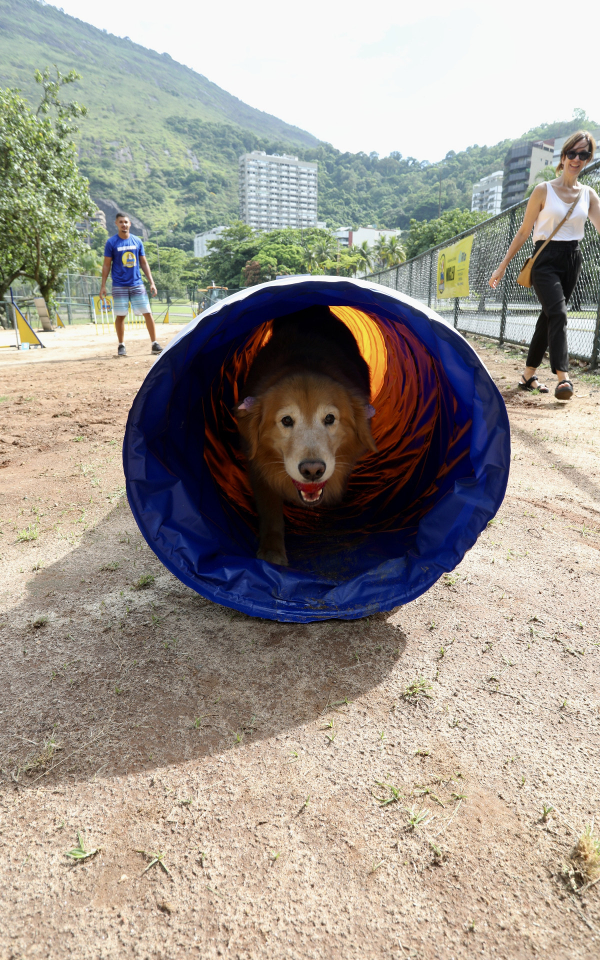 Acãodemia Carioca é a primeira iniciativa pública do tipo no país - Beth Santos / Prefeitura do Rio
