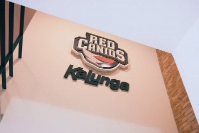 Marcas famosas ajudam equipes de eSports a mudarem de patamar