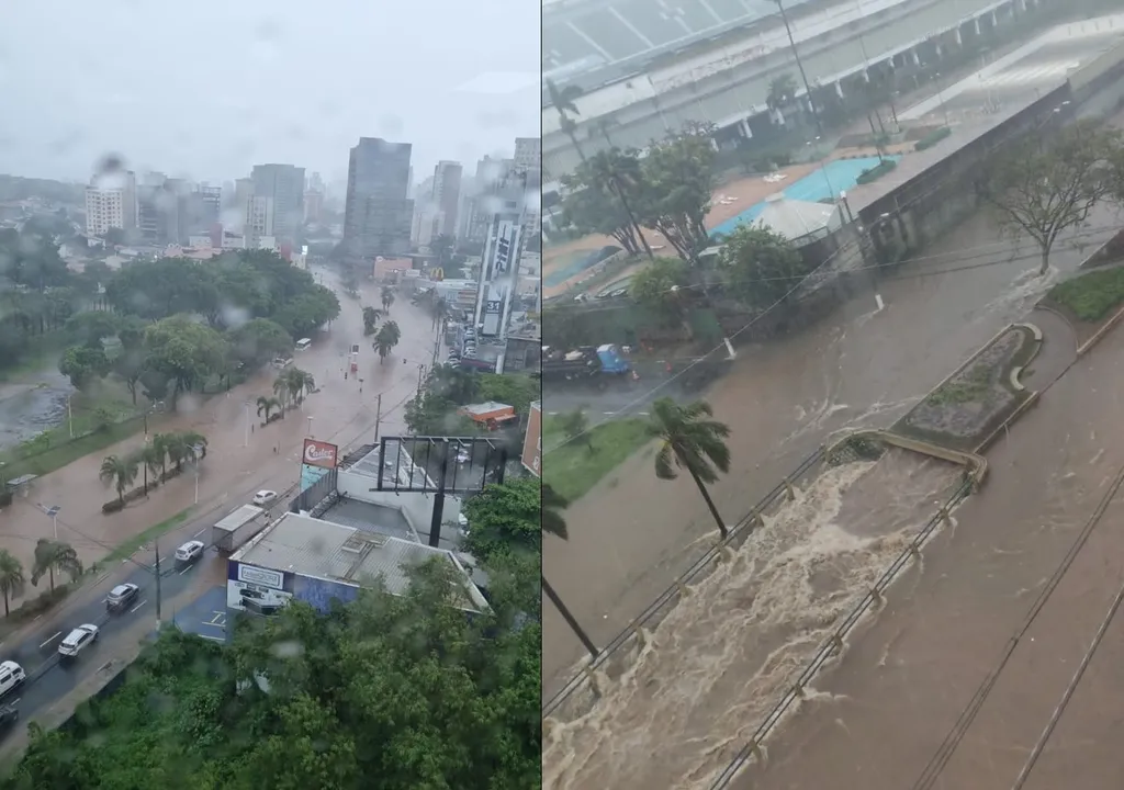 A ilha do litoral de São Paulo com a segunda maior concentração de