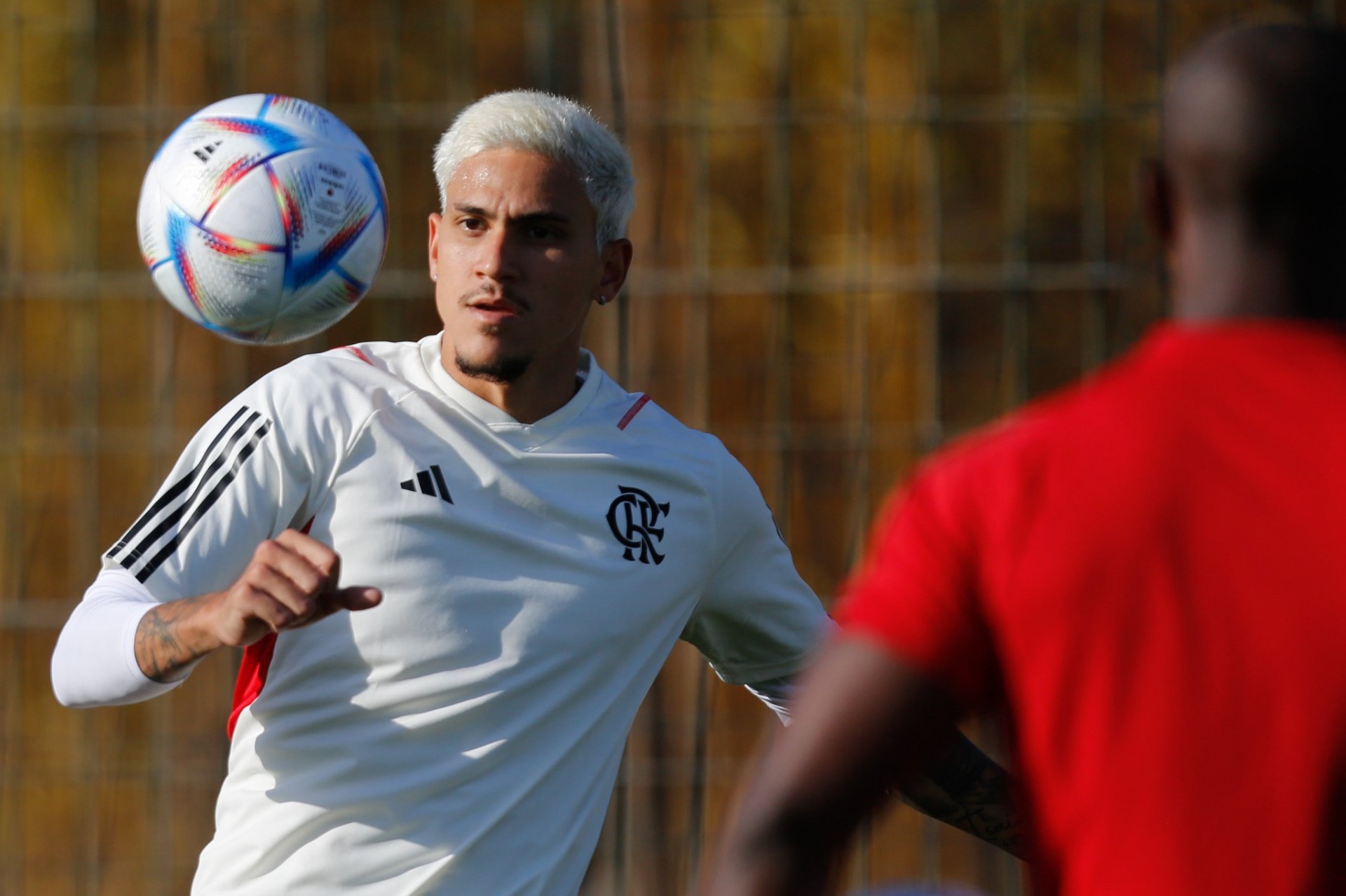 Agora no Bota, Diego Souza revela que se arrependeu de jogar no Flamengo