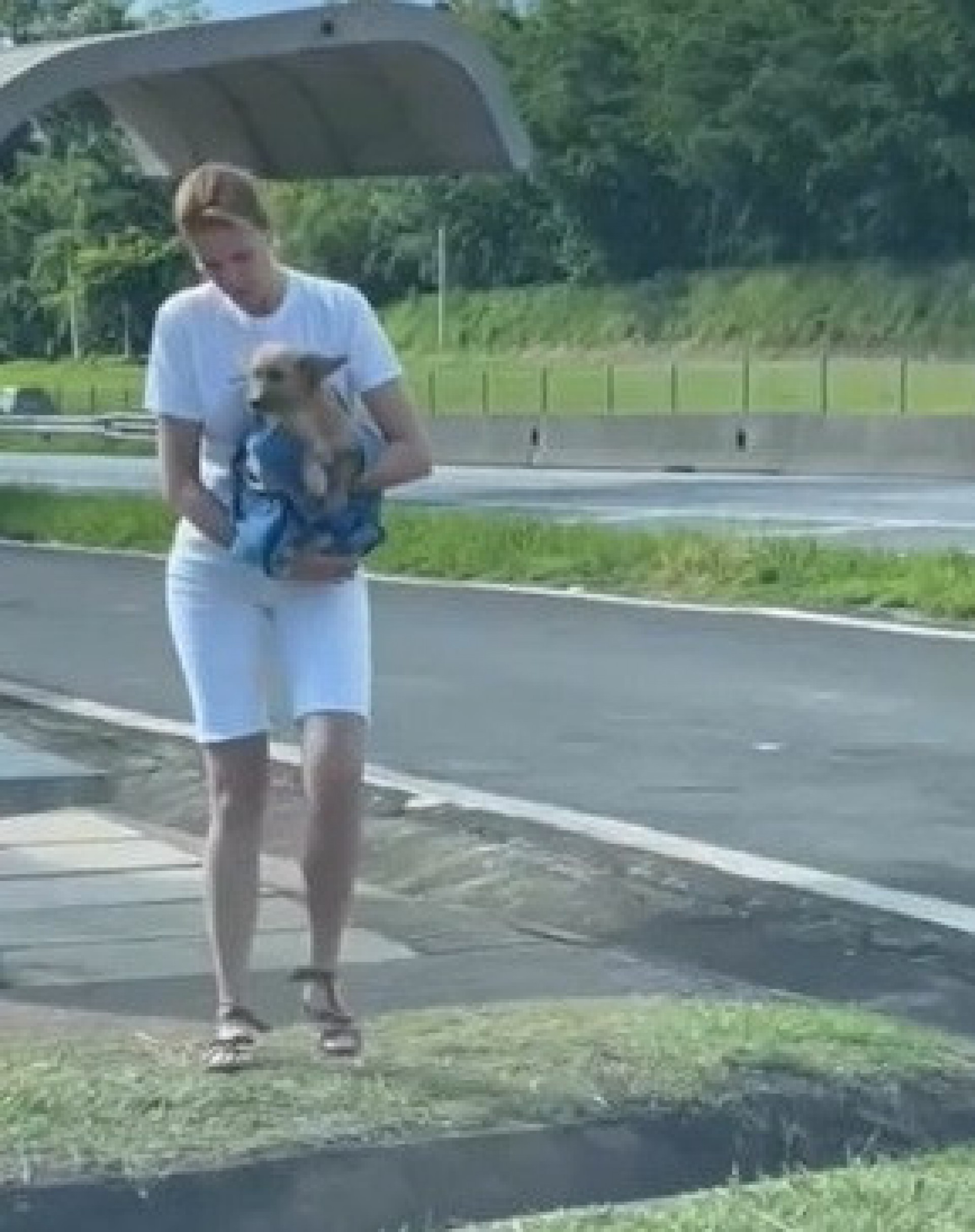Ana Hickmann resgata cachorro em estrada - Reprodução do Instagram