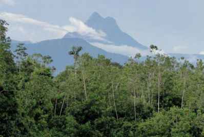 Entidades yanomami denunciam entrada de garimpeiros no Pico da Neblina